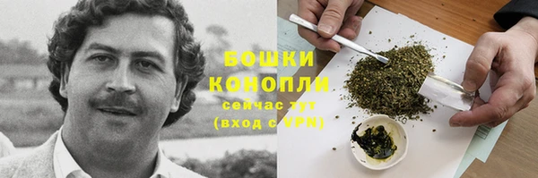 индика Майский
