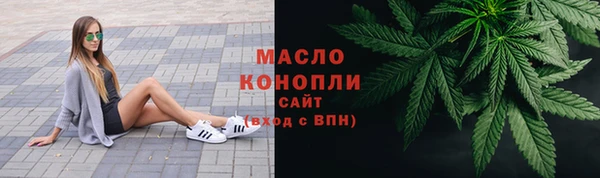 индика Майский