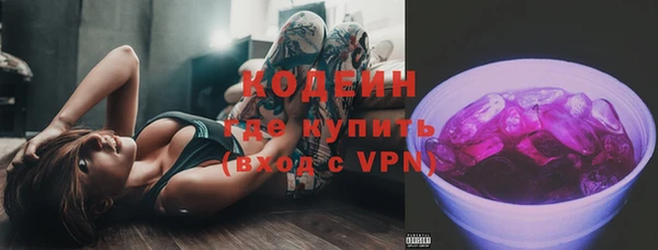 индика Майский