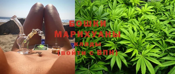 индика Майский
