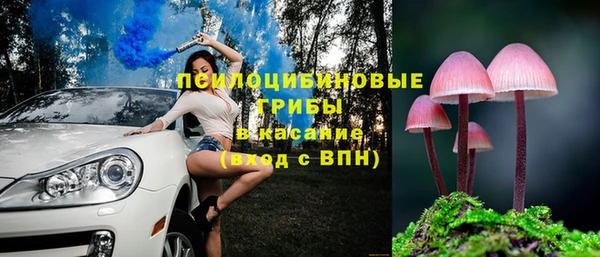 индика Майский