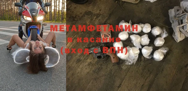 индика Майский