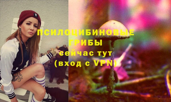 индика Майский