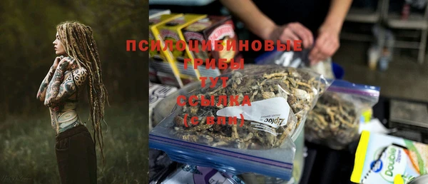 индика Майский