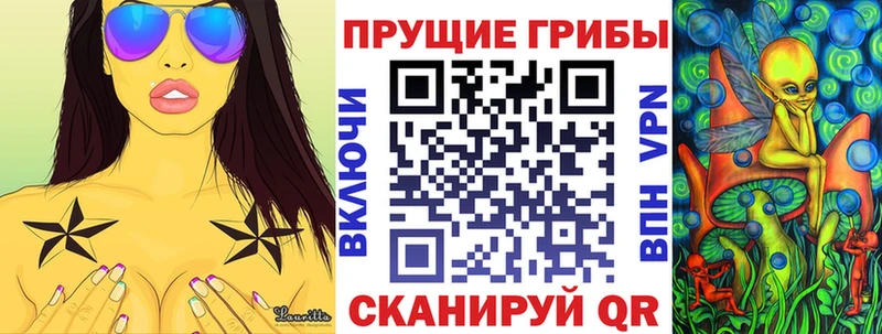 Купить где  Темрюк  Псилоцибиновые грибы мицелий 